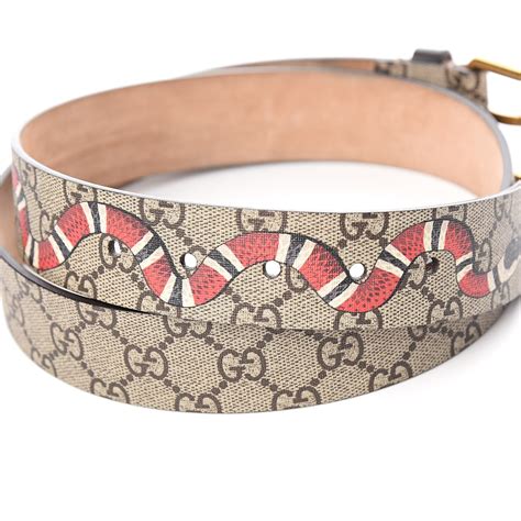 gucci gg print belt|gucci belt on model.